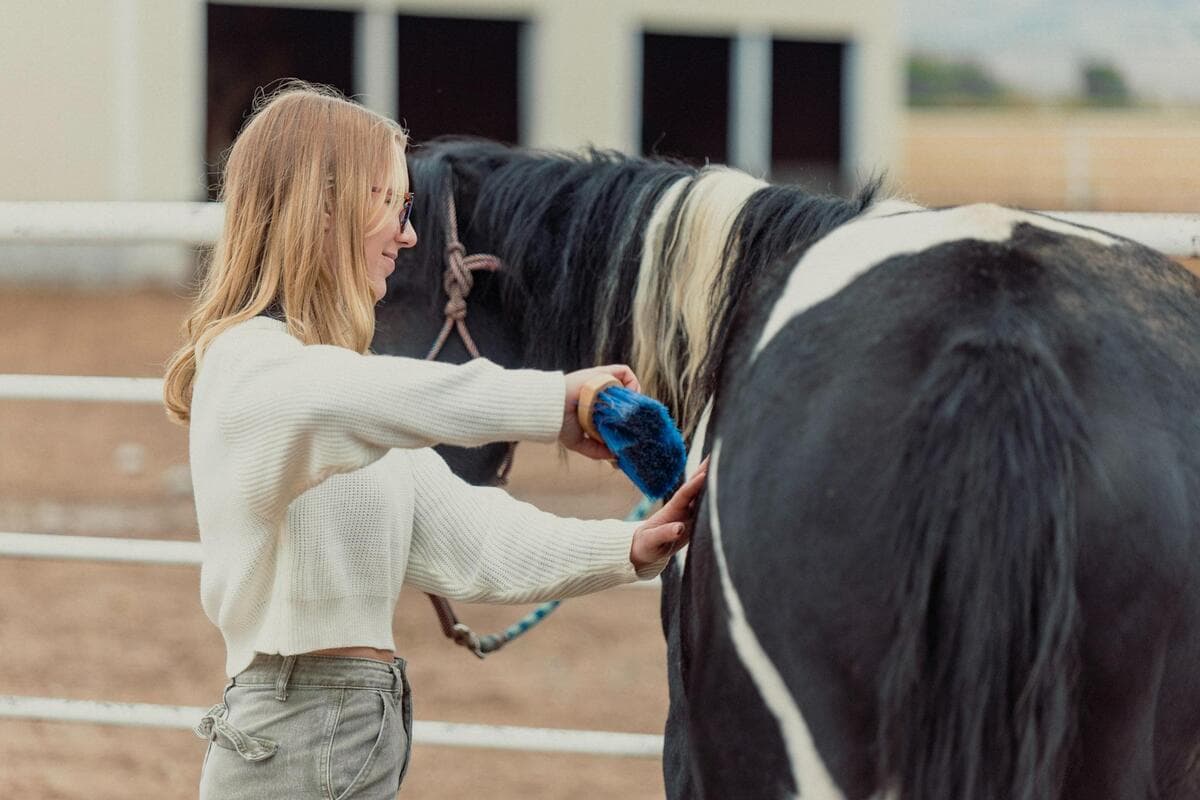 Teen girl brushing a horse during equine therapy at Juniper Haven
